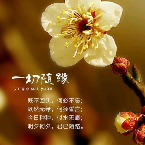 随缘