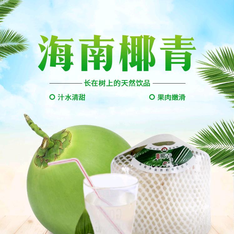 无极逍遥郎头像