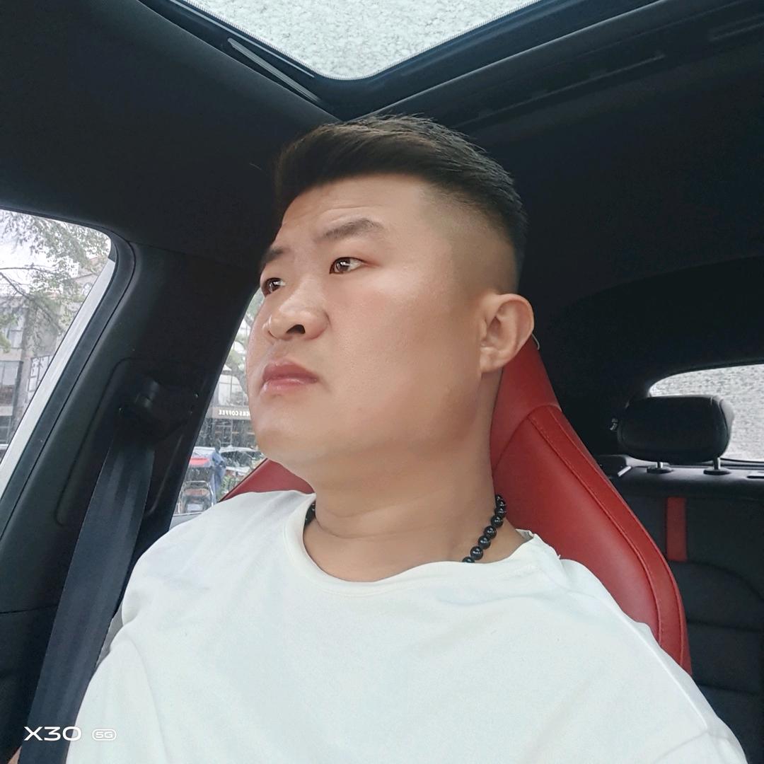 草原雄鹰展翅飞，