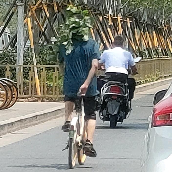 帅林小子