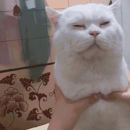 钓鱼王