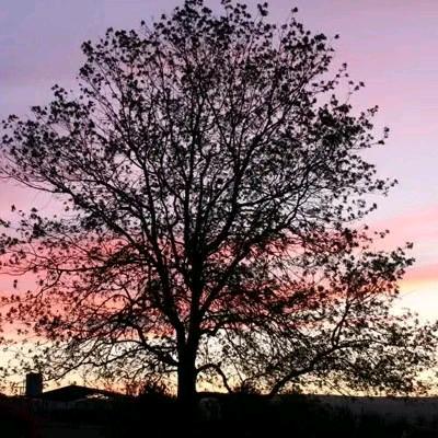 波波精选好物推荐