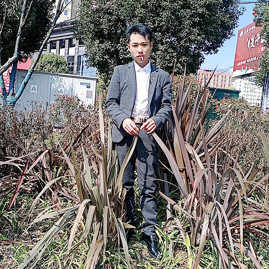 王岐军花开富贵好运来