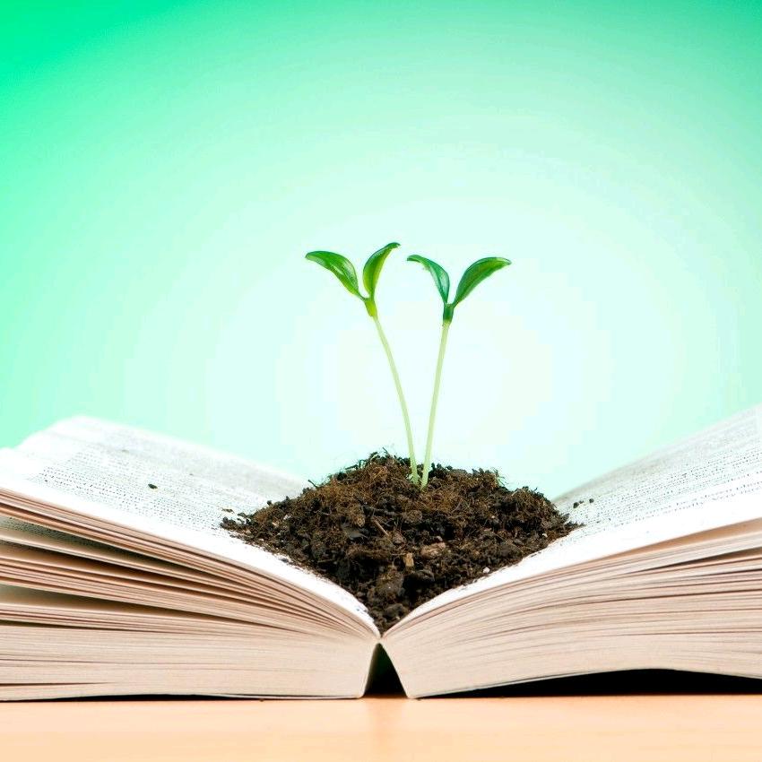 孟夫子谈教育（鄂州）