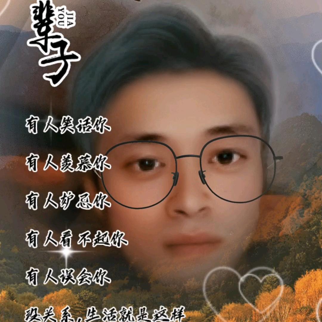 不离不弃的陪伴
