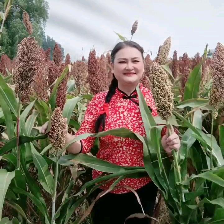 晴