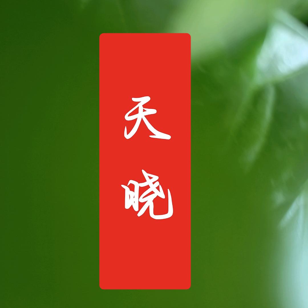 天晓