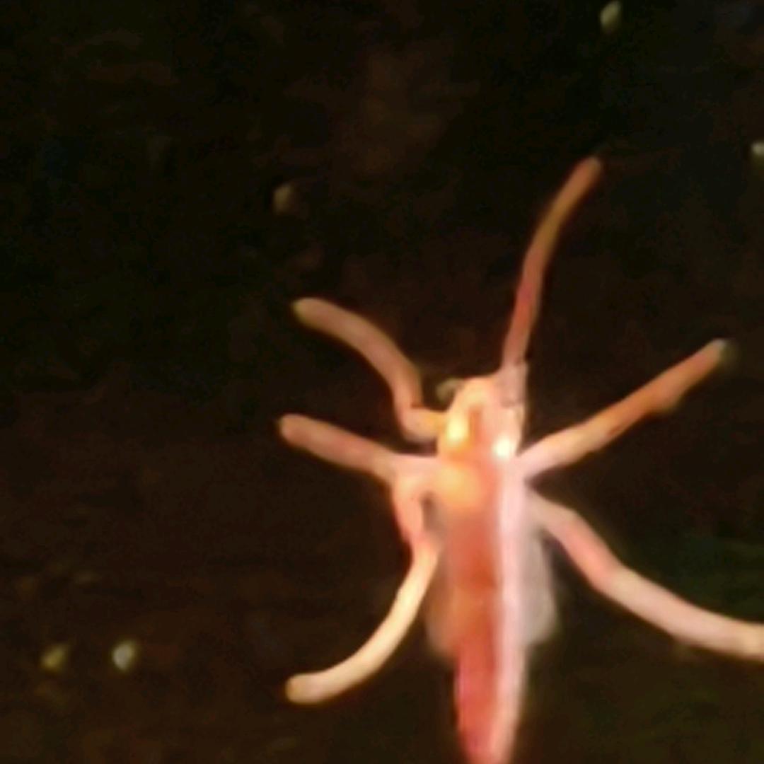 段段段