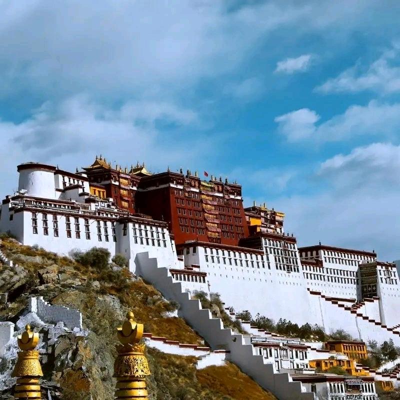 旅行者海哥DIY潮牌服装定制