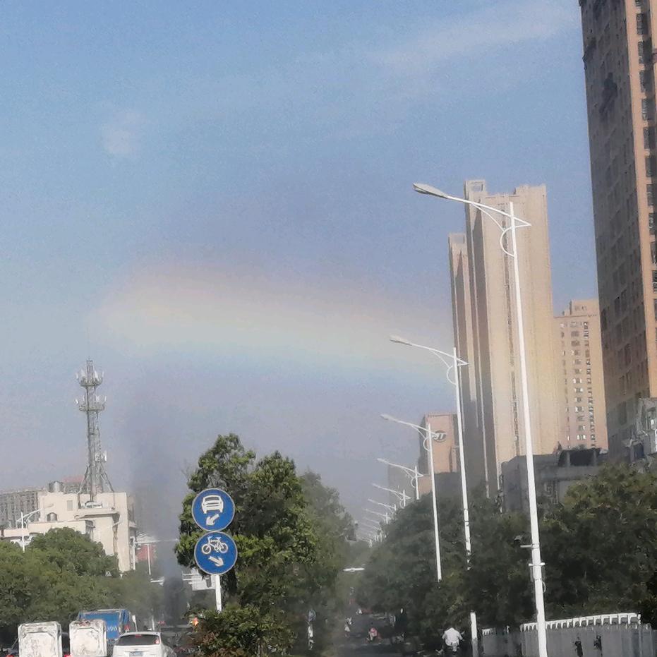 随心所欲