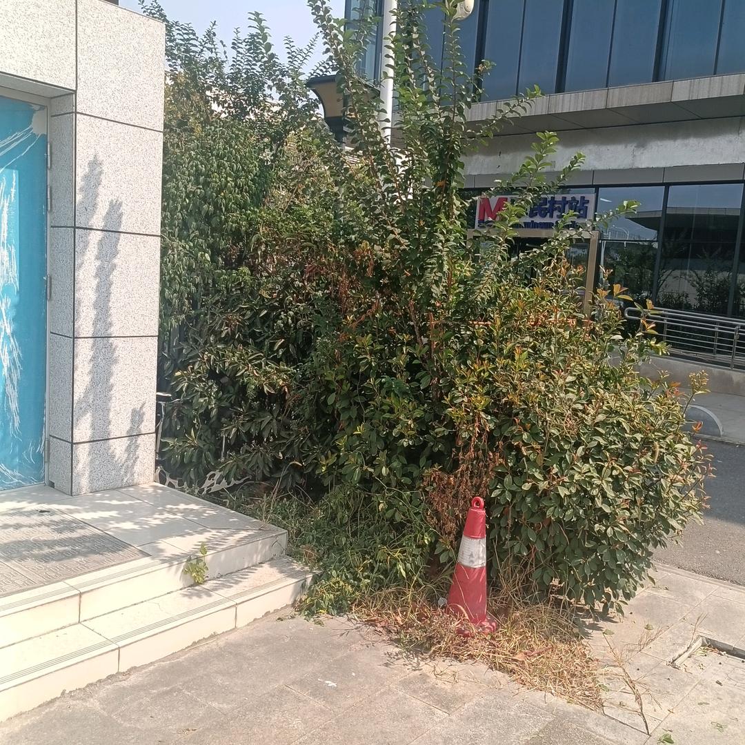 从此不问江湖路