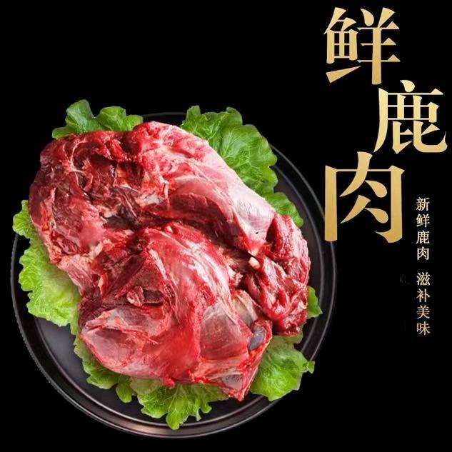 海南梅花鹿全岛配送