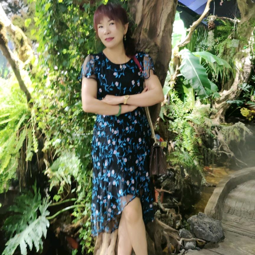 莲