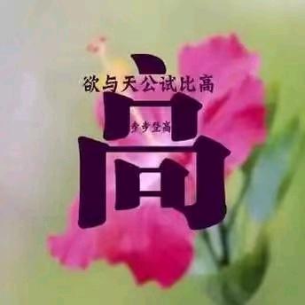 高大姐