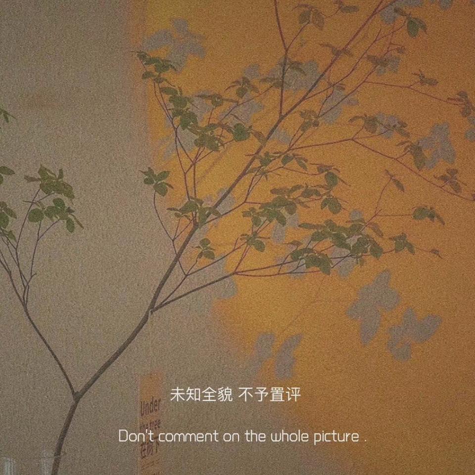 大牙是只恐龙🦕