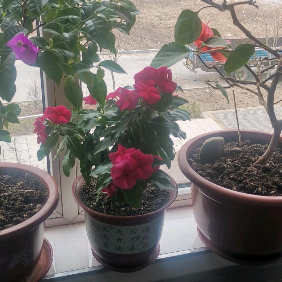 🔥往事如烟🔥