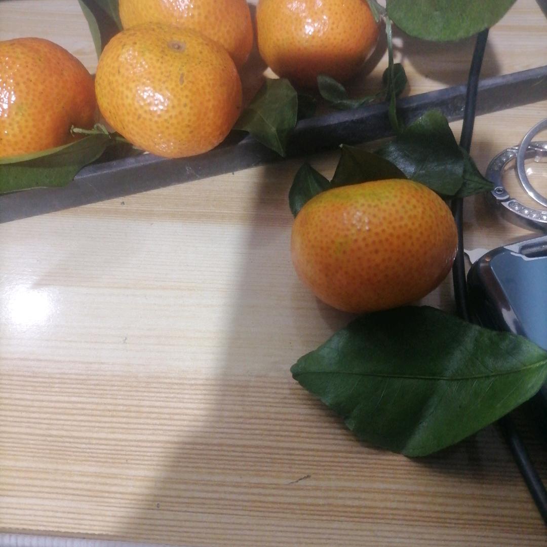 寻找你的心