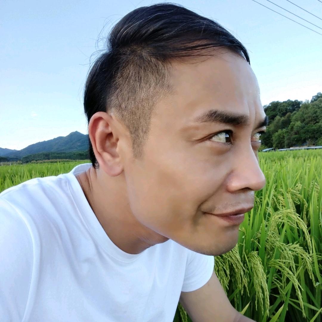 黄非鸿