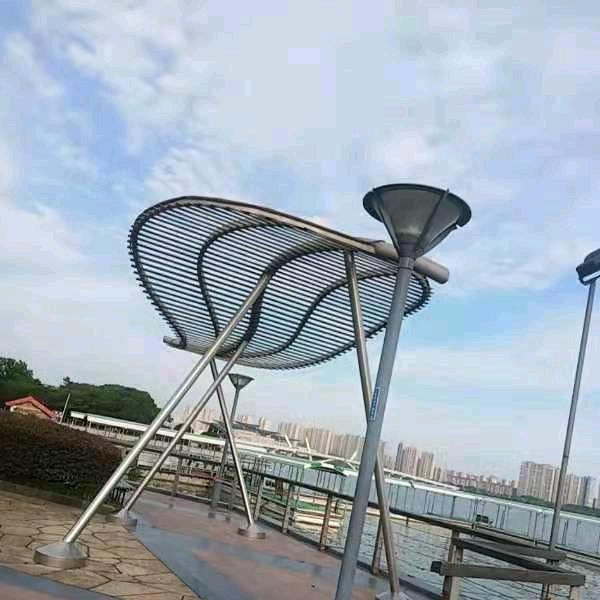 爱钓🐟的老杨