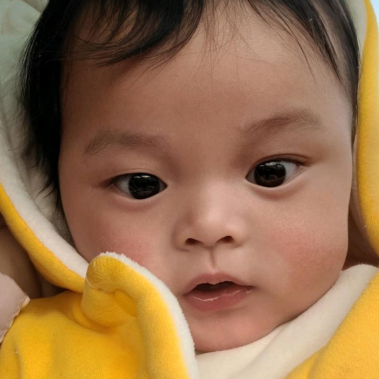 🐍这🙉一🐶家🐗