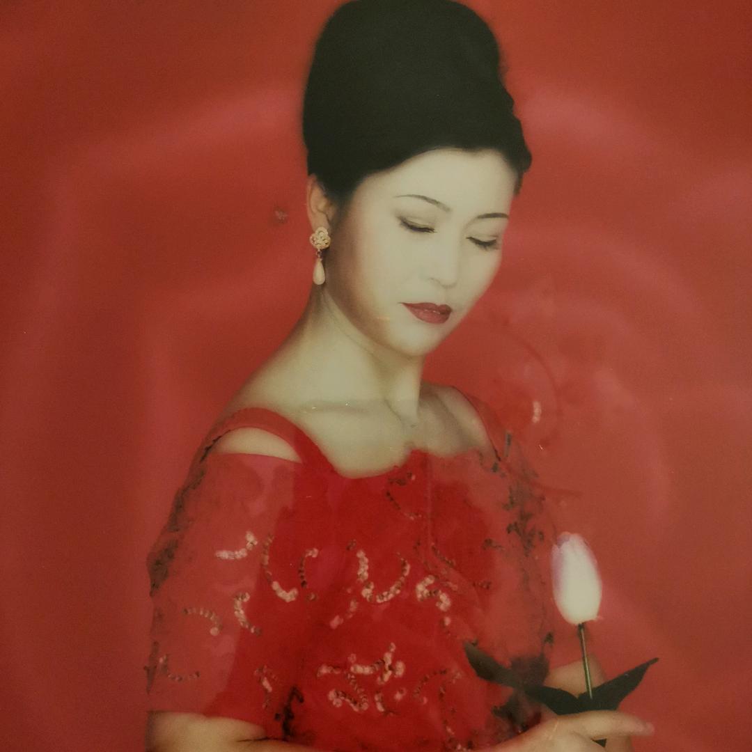 红柳树