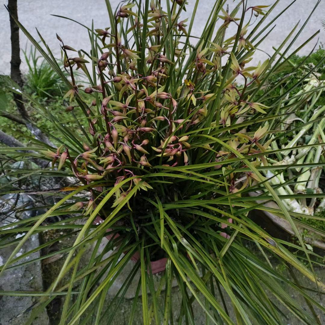 今生爱自己