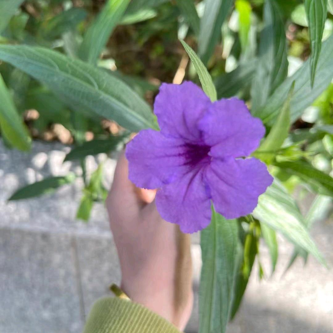 幸福来敲门❤️