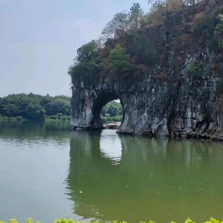 漂泊在外的狼