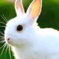 似水年华₍˄·͈༝·͈˄*₎◞ ̑̑