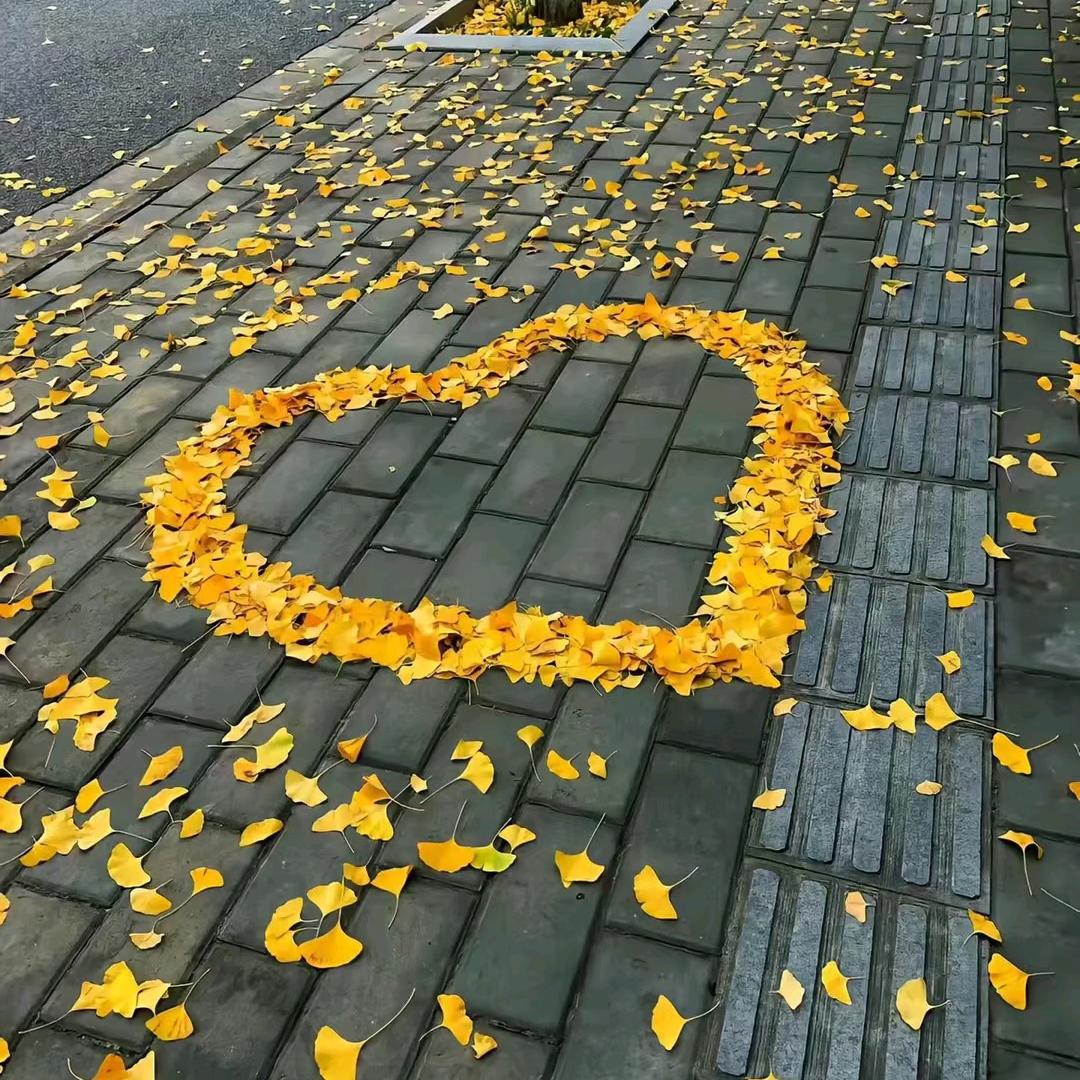 悠悠心语