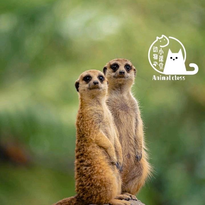 🥀⃟错把᭄敷衍ꦻ当承诺ꦿᭁ