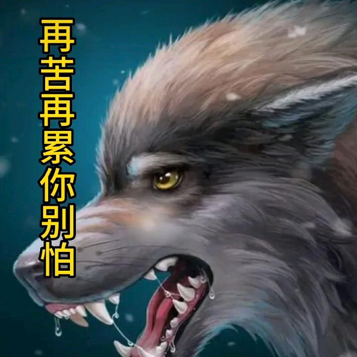 往事不在想