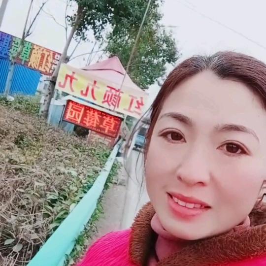 杨桥《聪聪》红颜九九草莓🍓园