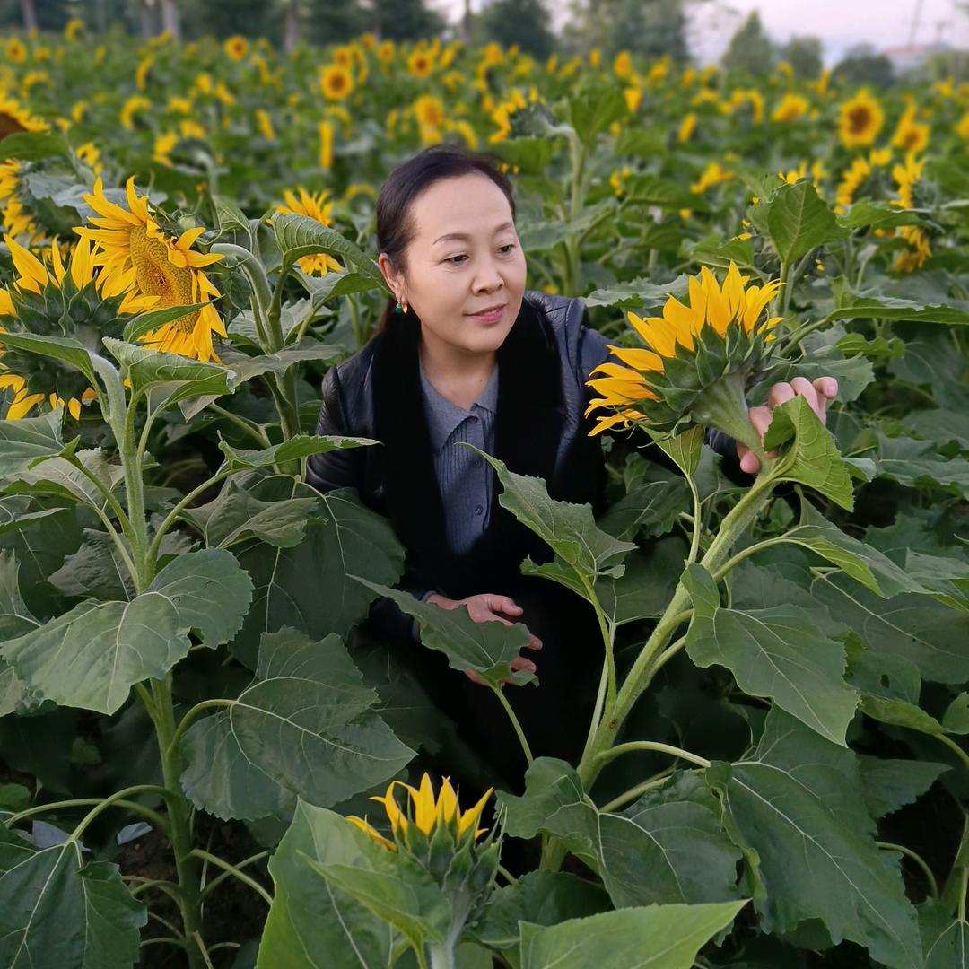 糯糯