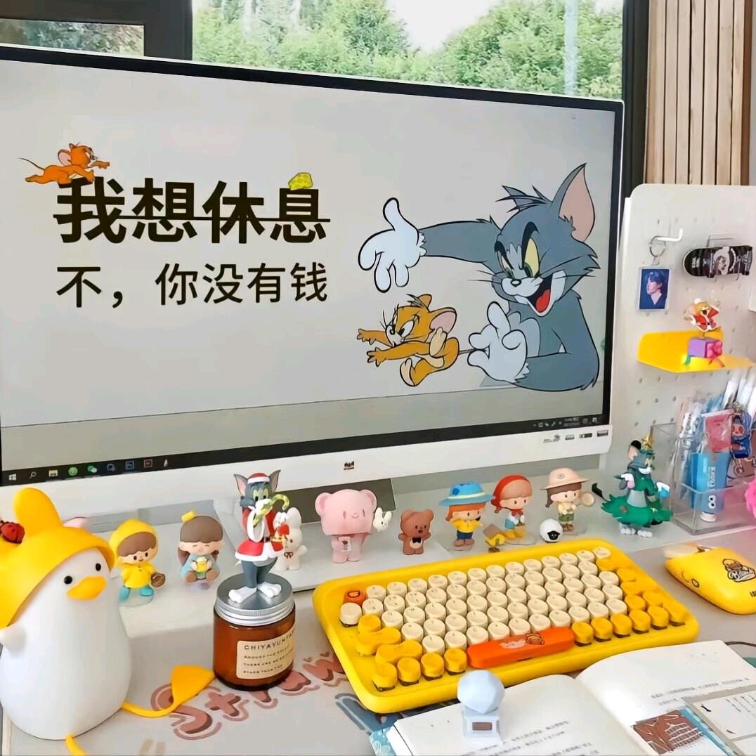 🌈D、