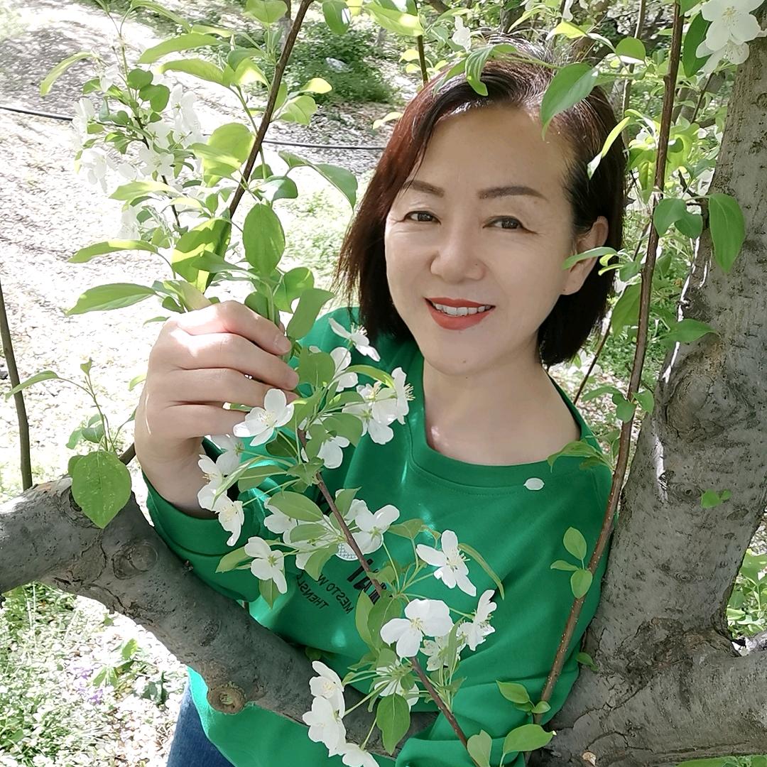 鸿运吉祥
