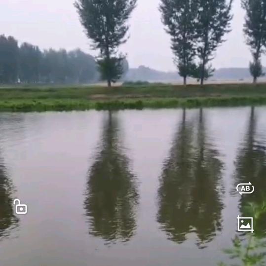 李哥