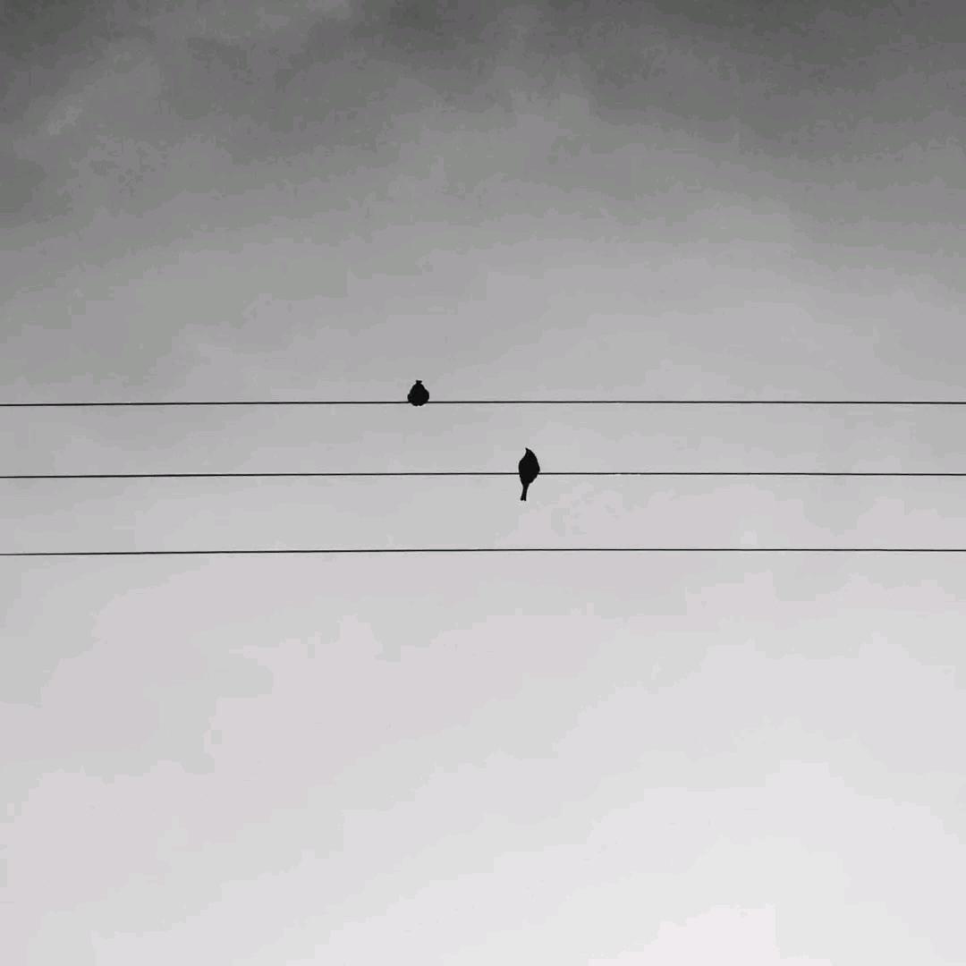 𝒦ℴ𝒾