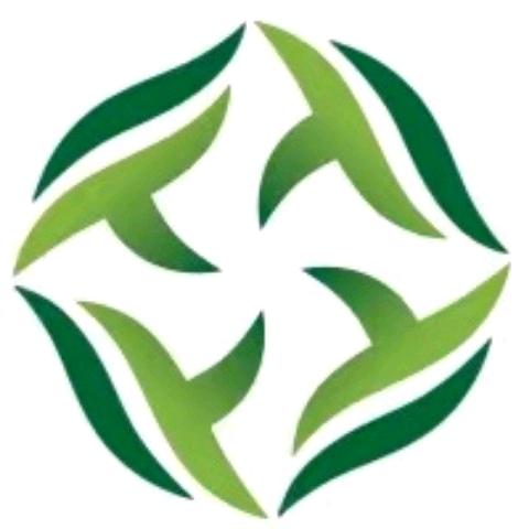 涛游国际