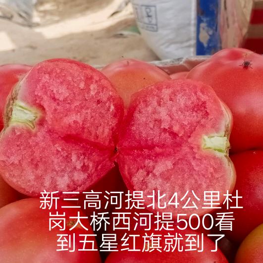 农村种植蔬菜交流