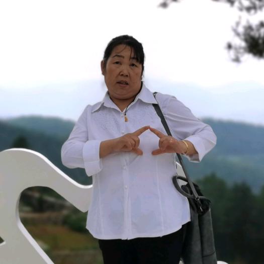 小龙女