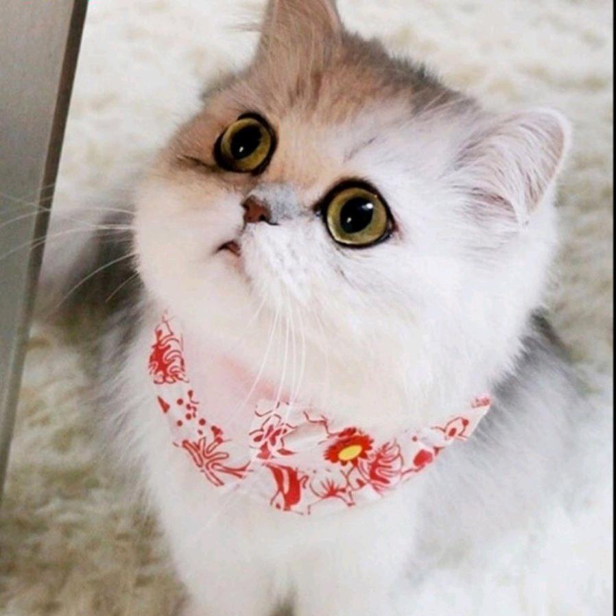 举个栗子