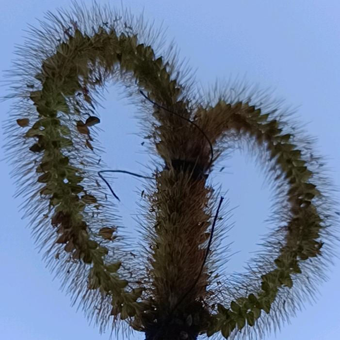遇🍀见