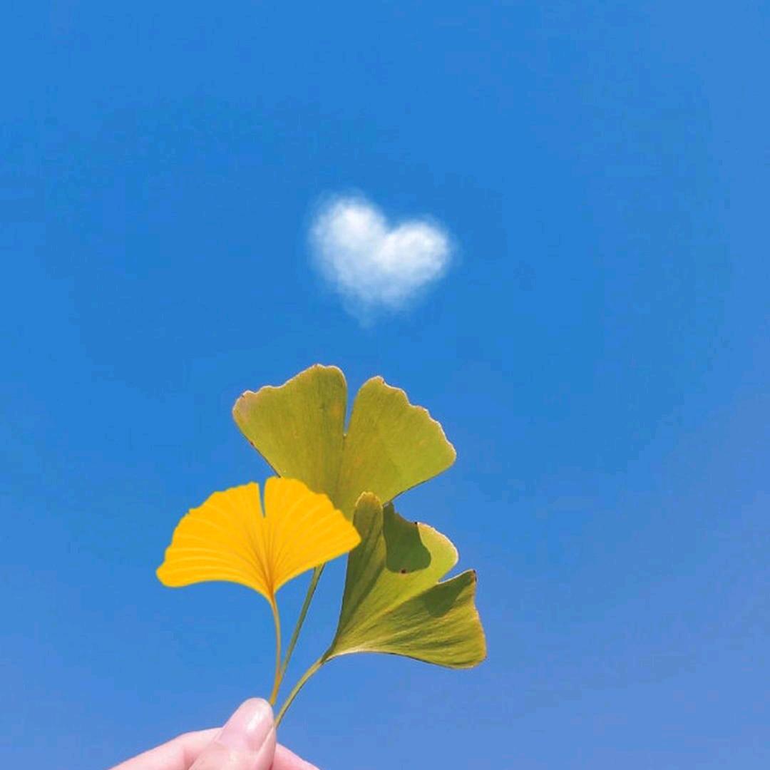 手机用户59078228554