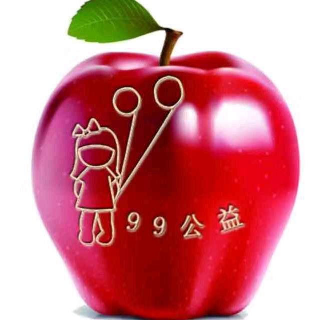 云游九州