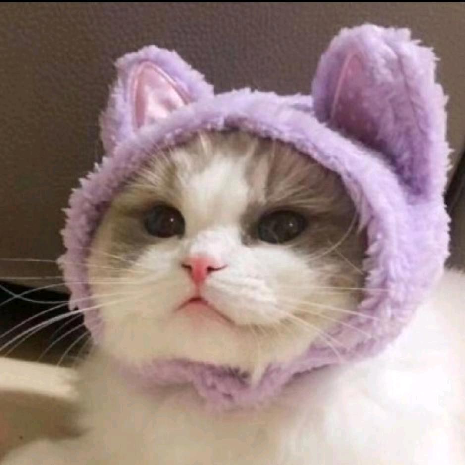 菰獨者の_smile.