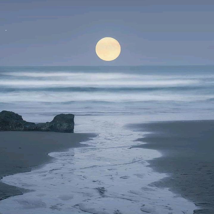 金风