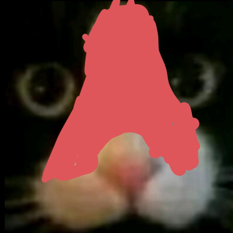 🦐