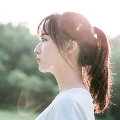 小小鸟
