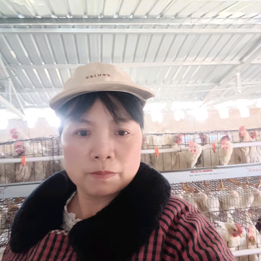 鸡蛋妹